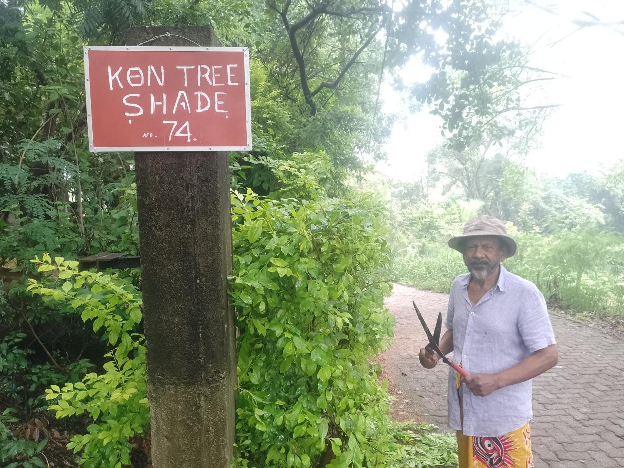 Апартаменты Kon Tree Shade Дамбулла Экстерьер фото